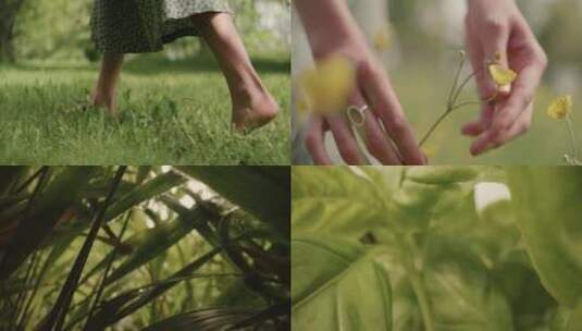 美女感受大自然草地上走路抚摸花朵夏季阳光高清在线视频素材下载