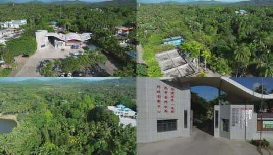 海南兴隆热带植物园高清在线视频素材下载