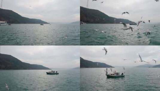 伊斯坦布尔博斯普鲁斯海峡和渔船鸟瞰图高清在线视频素材下载