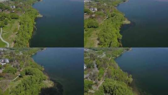 云南高原湖泊自然风光夏天树木风光空景素材高清在线视频素材下载