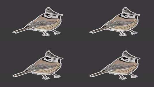 林地鸟类贴纸包高清在线视频素材下载