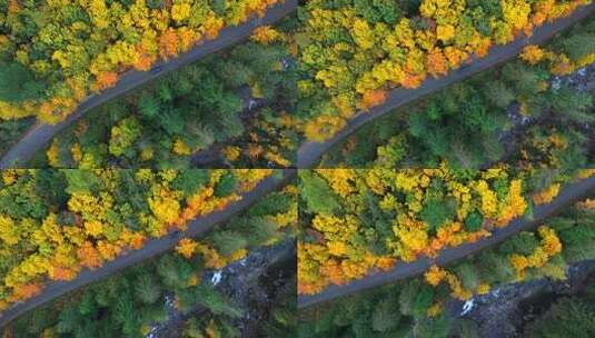 夏天秋天分明公路开车行驶自然风景广告高清在线视频素材下载