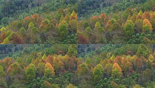 靖安隐仙谷山区24高清在线视频素材下载