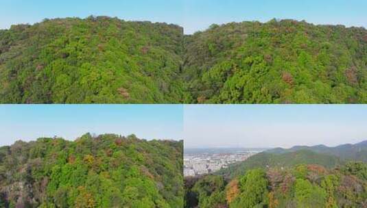 东穆坞村 留下街道 茶山 茶叶 茶山高清在线视频素材下载