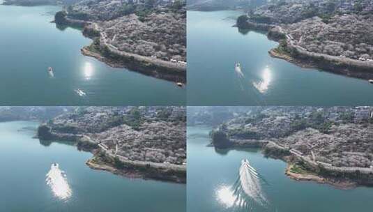 中国广东省广州市从化区广州流溪梅花节高清在线视频素材下载