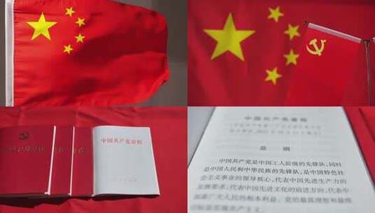 党红色红旗党建党政党徽党旗宣誓国旗高清在线视频素材下载
