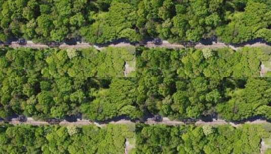 航拍穿过森林的道路高清在线视频素材下载