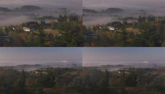 浓雾下的俄勒冈州高清在线视频素材下载