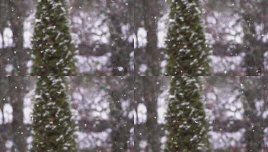 林地里的下雪景观高清在线视频素材下载