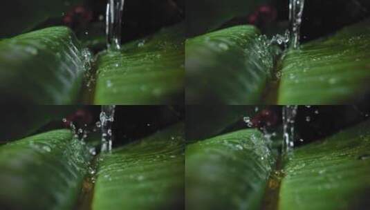 水浇灌叶子飞溅高清在线视频素材下载