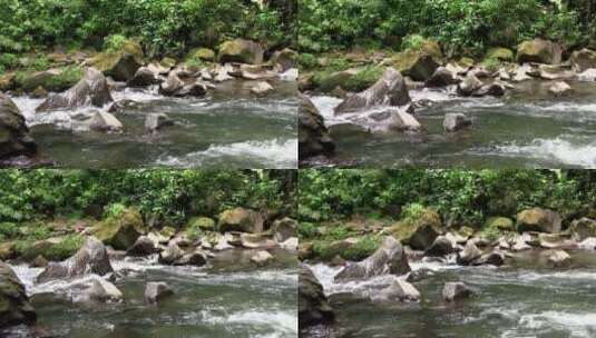 穿过森林的河流高清在线视频素材下载