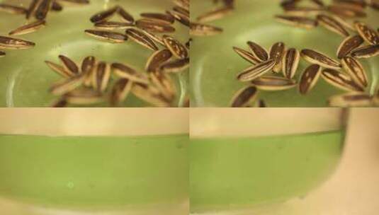【镜头合集】食品添加剂绿茶瓜子掉色高清在线视频素材下载
