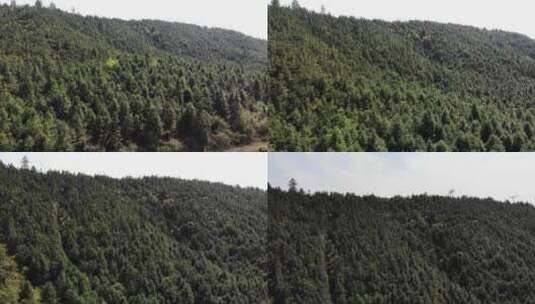 南方乡村山脉绿色树林森林航拍高清在线视频素材下载