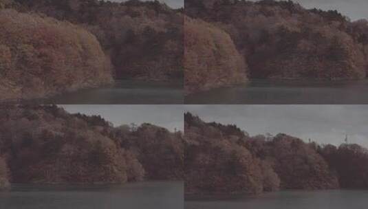 日本雪花红叶森林水面高清在线视频素材下载