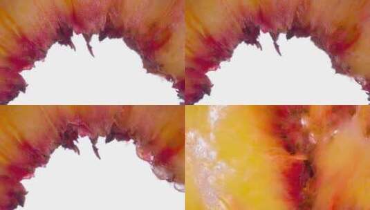 桃子 水蜜桃 桃 水果 特写 美食高清在线视频素材下载