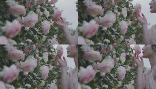 人像唯美美女花丛中捧起玫瑰花闻花香花海高清在线视频素材下载