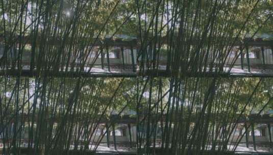 清代著名建筑孔子府的竹林高清在线视频素材下载
