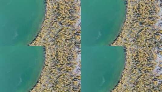 航拍秋天美丽的湖泊高清在线视频素材下载