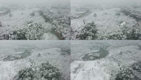 【航拍】东湖樱花园雪景02-2（2022.02.07）高清在线视频素材下载