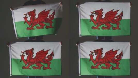 球举着威尔士国旗的特写高清在线视频素材下载