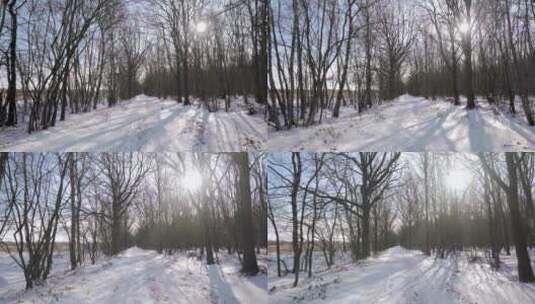 走在阳光透过树林照射的积雪覆盖的雪地上高清在线视频素材下载