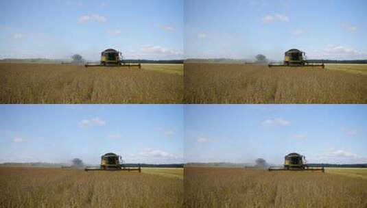 收割机收割麦子高清在线视频素材下载