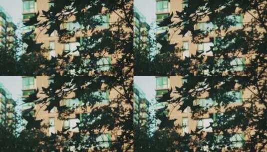 树叶掩映的居民楼唯美空镜高清在线视频素材下载