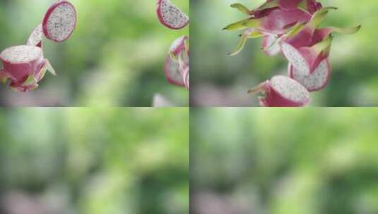 绿色花园中飞舞的火龙果切片高清在线视频素材下载