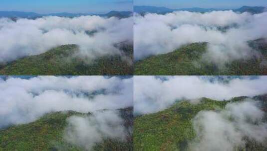 航拍西双版纳野象谷曼掌村原始森林景色高清在线视频素材下载