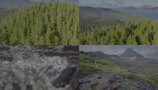 森林山涧小溪高清在线视频素材下载