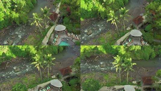 巴厘岛乌布椰树高清在线视频素材下载