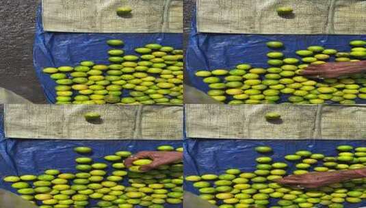顾客在地摊上买柠檬高清在线视频素材下载
