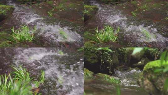 溪流-小河-水流-青苔自然生态高清在线视频素材下载