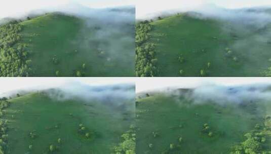 航拍青山森林云雾高清在线视频素材下载