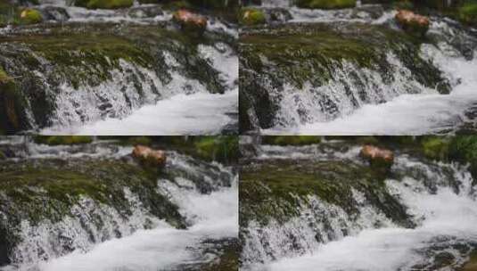 清澈的溪水流淌高清在线视频素材下载