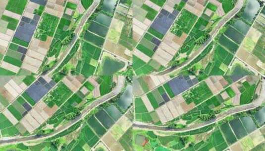 农村建设 水稻稻田风光高清在线视频素材下载