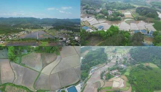 合集南方水田水稻种植航拍高清在线视频素材下载