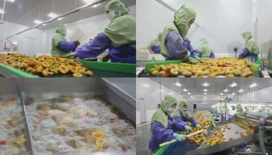 水果 果品 桃子 罐头 生产流水线高清在线视频素材下载