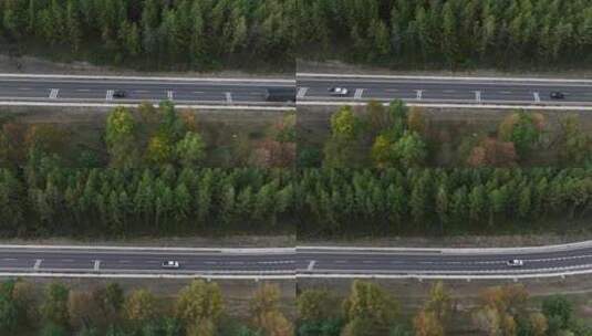 穿过森林的道路俯瞰航拍高清在线视频素材下载