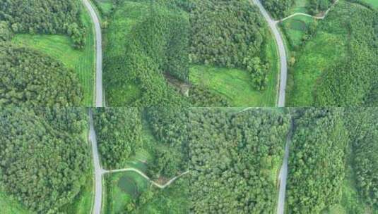 森林公路航拍乡村道路俯拍绿色山路风景风光高清在线视频素材下载