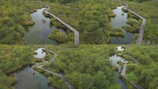 自然风光/湖泊/五大莲池风光高清在线视频素材下载