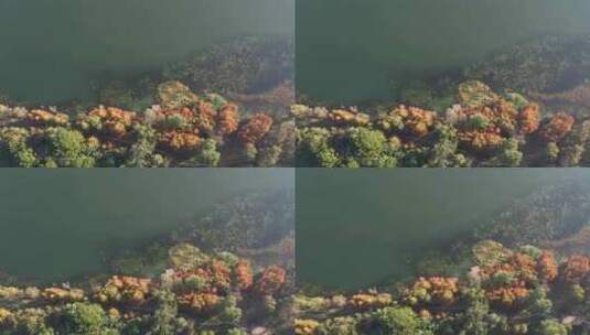 洱海泸沽湖抚仙湖秋天秋景秋色航拍高清在线视频素材下载