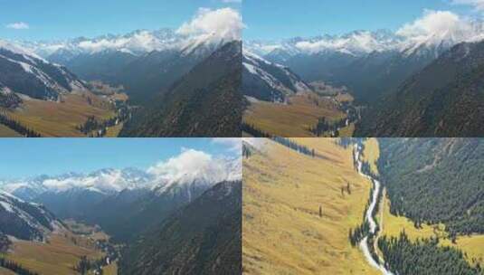无人机拍摄的新疆草原雪山高清在线视频素材下载
