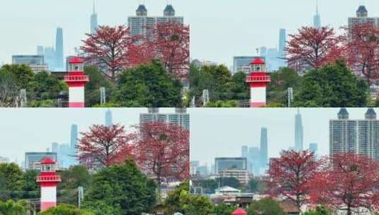 航拍广州上滘船厂木棉花与广州地标建筑高清在线视频素材下载