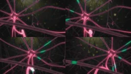 带有发光链接的神经元细胞动画。神经细胞在高清在线视频素材下载