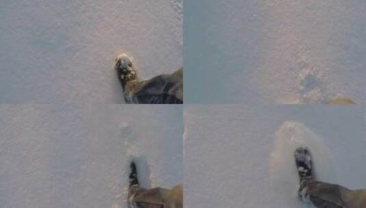 特写在厚厚的积雪里行走高清在线视频素材下载