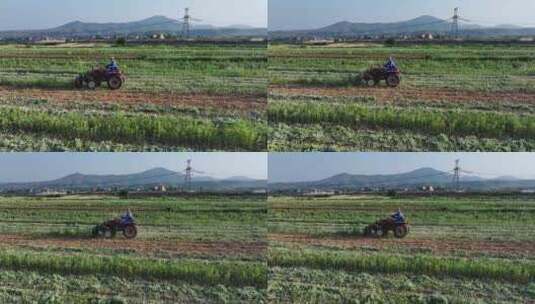 农民驾驶拖拉机收割艾草中药材种植农业高清在线视频素材下载
