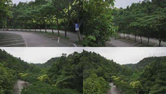 云南野象谷雨林航拍高清在线视频素材下载