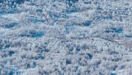 唯美冬天雪景树林雾凇下雪高清在线视频素材下载