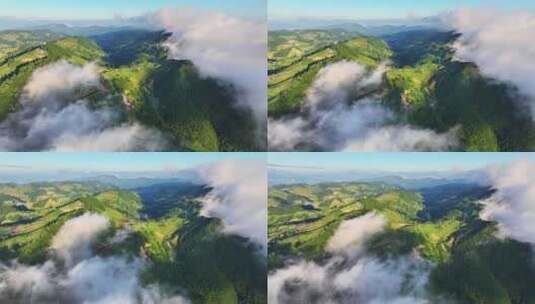 航拍高山草原森林树林云海云雾晴天阳光高清在线视频素材下载